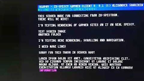 Gopher browser on ZX-Spectrum