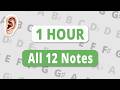 Chromatic Ear Training: Master All 12 Notes