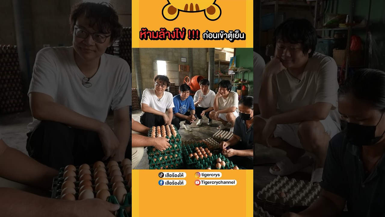 รู้หรือไม่ !!! ล้างไข่ไก่ก่อนเข้าตู้เย็นทำให้ไข่เสียง่าย #เสือร้องไห้ #TigerShorts #shorts #ไข่ไก่