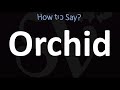 How to Pronounce Orchid? (CORRECTLY)