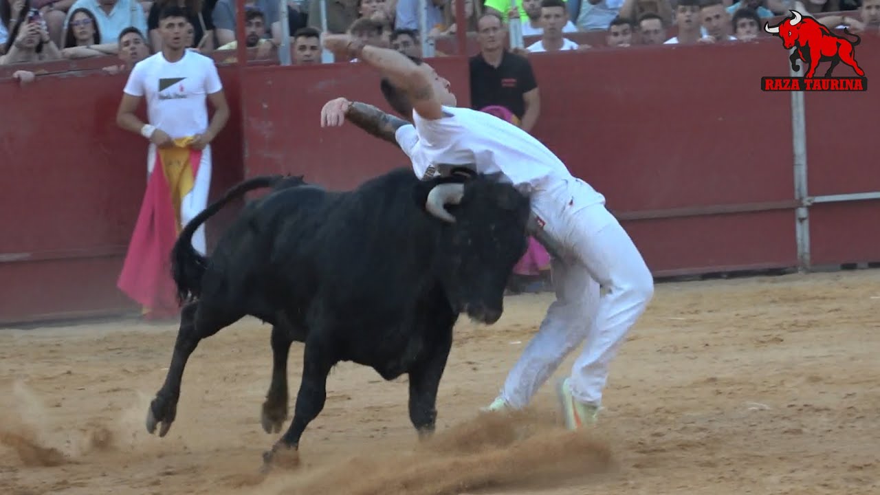 XXI Concurso de cortes, quiebros y saltos. Barrio de San Lorenzo (Segovia). 3 Agosto 2025