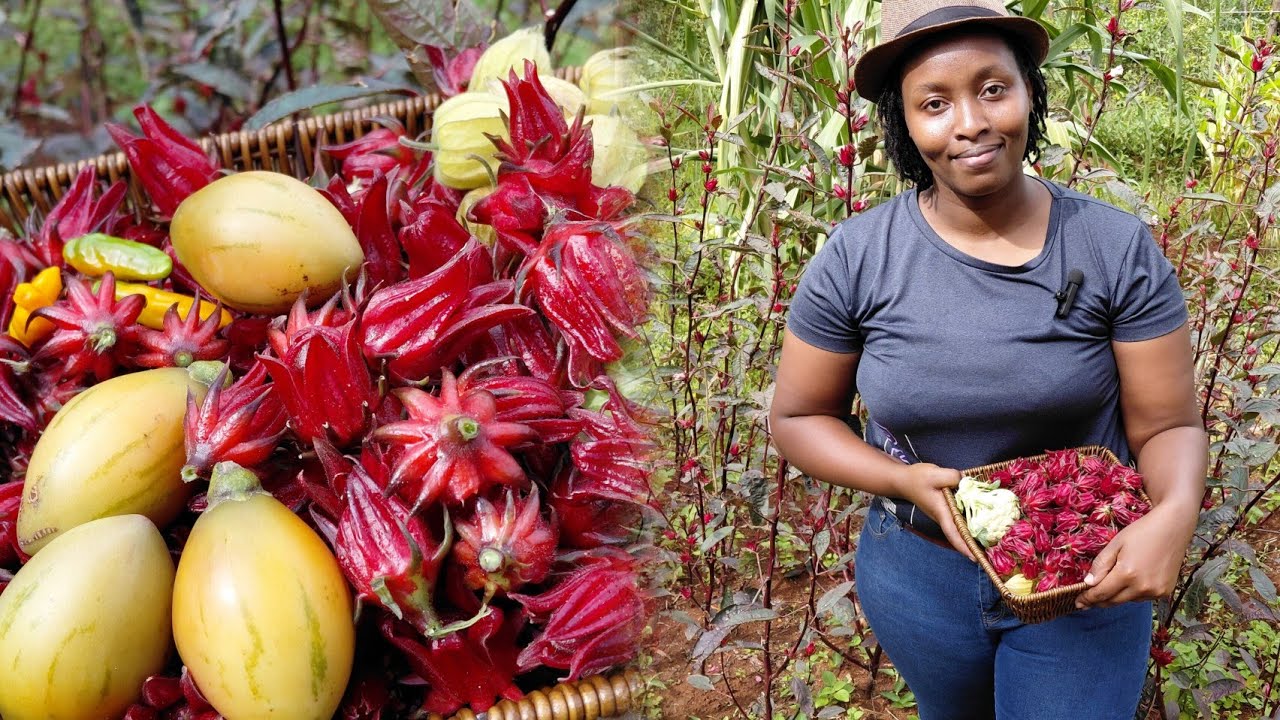 Удивительный урожай с нашей самодостаточной фермы