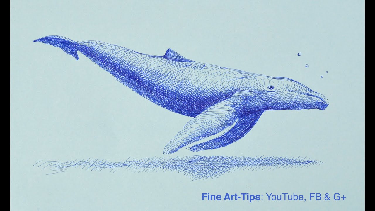 How to Draw a Whale With Fountain Pen