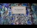 Dyepot Weekly #314 - Dyeing KnitPicks Eco Superwash Yarn (Superwash Alpaca / Nylon Blend)