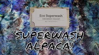 Dyepot Weekly #314 - Dyeing KnitPicks Eco Superwash Yarn (Superwash Alpaca / Nylon Blend)