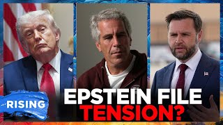 Trump, Vance TENSION over Epstein files REVEALED in new book | RISING