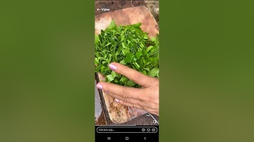 vị thuốc thiên nhiên: Tác dụng của cây Dâm bụt.
