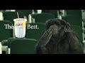 Estath  th best  scimmia  2017