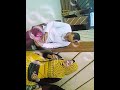 خطوبة احلى عريس و عروسة خطوبة احلى عريس و عروسة