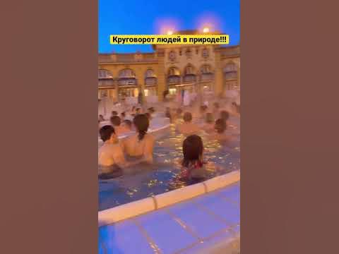 Общественный бани! Будапешт! #юмор #смешно #мем #отношения #любовь #fun ...