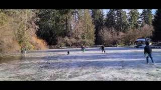 Central Park Burnaby Ice Skating January 14 2024 by Bruce Causier 102 views 3 months ago 31 seconds