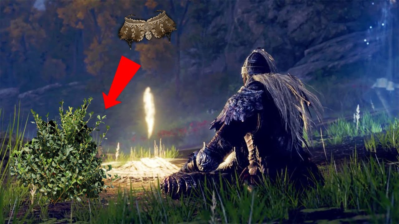 ELDEN RING HIDE AND SEEK WITH GIFTS YouTube