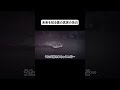 未来を知る僕の真実の告白