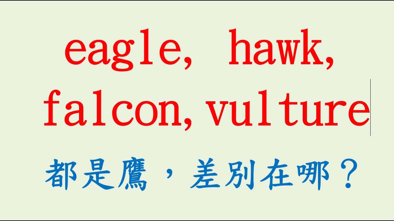 eagle, hawk, falcon,vulture都是鷹，差別在哪？