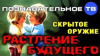 Скрытое оружие: Растление будущего (Познавательное ТВ, Михаил Величко)