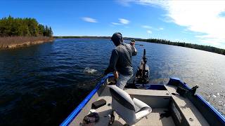 Lake Trout mission turned, Stocked Trout Mission