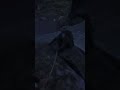 Friendship and Betrayal