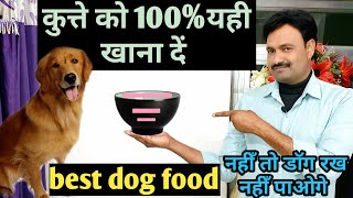 dog ko kya khilana chahiye कुत्ते को खाने में क्या देना चाहिए best dog food / best dog diet
