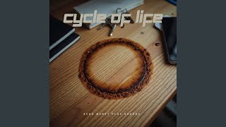 Cycle of Life
