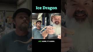 Would you keep a 60 pound ice dragon??