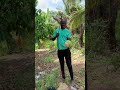 Having #Coconut in #Jamaica #Paradise