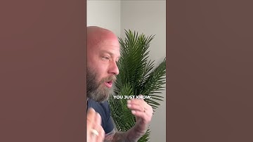 Building Trust and Leadership | The Power of Consistency in Your Marriage 🤝