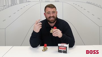 BOSS™ 206 Thermal Balancing Valve