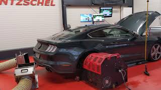 Bullitt800 By Hentzschel