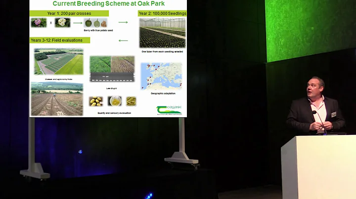 The not so humble spud - Denis Griffin