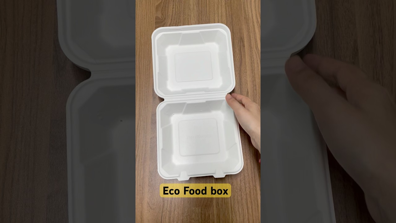 Wholesale 100% Compostable Clamshell Take Out Food Containers  Made of Sugar Cane 