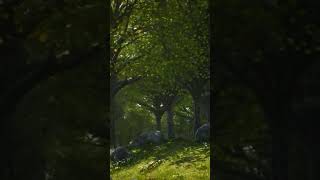 Relaxing And Emotional Film Music - Beautiful Nature Landscape #effexxion