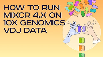 How to run MiXCR 4.x on 10x Genomics VDJ data