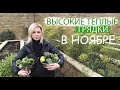 ВЫСОКИЕ ТЁПЛЫЕ ГРЯДКИ в НОЯБРЕ