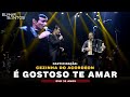 Elymar Santos - É gostoso te amar ( DVD 30 Anos )