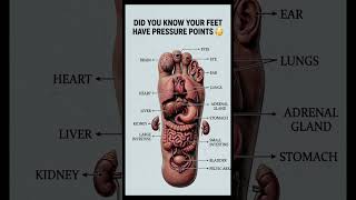 Your Feet Control Your Body?! 😱 Hidden Pressure Points Truth! #memes