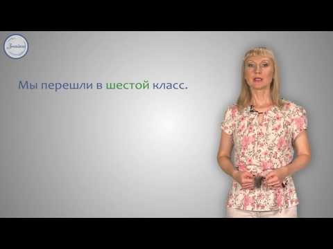Уроки русского Имя числительное как часть речи