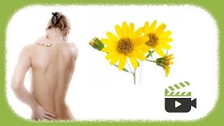 Arnica weleda de embarazo aceite