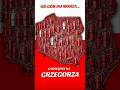 Grzegorz Braun 🇵🇱Prezydent Polski 🇵🇱#braun2025