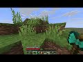 FoolishCraft SMP Season 3 Chill and Vibe 1