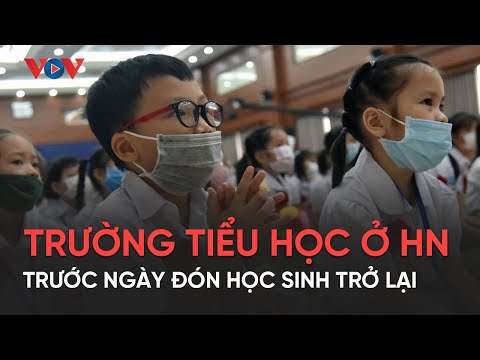 Video Các trường tiểu học ở Hà Nội tất bật trước ngày đón... - youtube