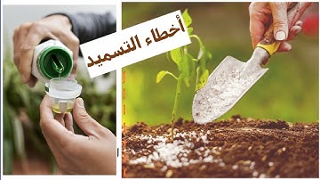 اخطاء التسميد الخمسة التي تقتل نباتاتك، تجنبها فورا