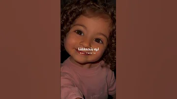 اغنية زعيم النرجسيه انا حاجه اطعم من الجيلي 
