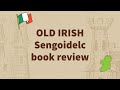 Best textbook to learn OLD IRISH? - Sengoidelc - Old Irish for Beginners Stifter - BOOK REVIEW