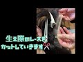 ピア公式　実演　貼り付けタイプ部分かつら脱着参考