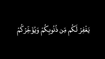 كروما سوداء ماهر المعيقلي | سورة نوح