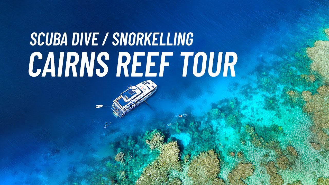 Cairns Reef Tour   Scuba Diving   Snorkelling on the Great Barrier Reef 