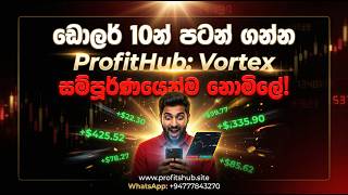 ඩොලර් 10න් ProfitHub Vortex එකෙන් Income හදාගන්න පුළුවන්ද? 😳