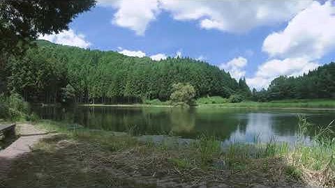 Insta360 One R Timelapse