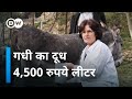 आखिर गधी के दूध में ऐसा क्या छिपा है [Huge demand for Donkey Milk]