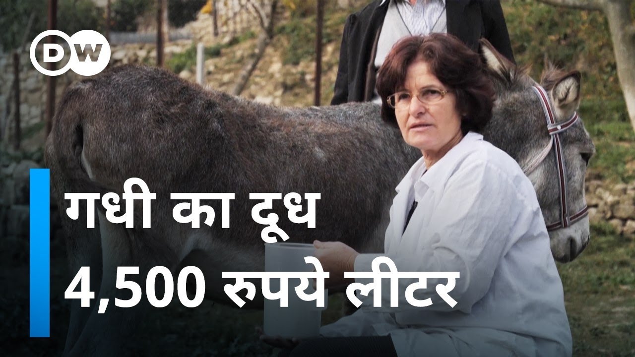 आखिर गधी के दूध में ऐसा क्या छिपा है [Huge demand for Donkey Milk]